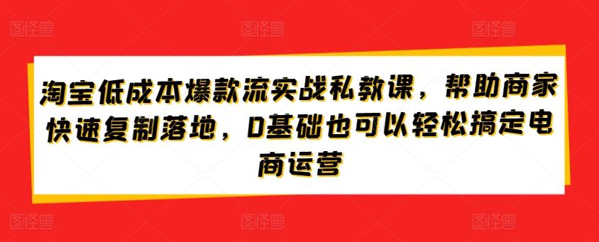 淘宝低成本爆款流实战私教课，帮助商家快速复制落地，0基础也可以轻松搞定电商运营-知芽创业社