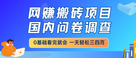 网创搬砖项目，国内问卷调查，小白轻松上手，一天三四张的也不难，干就完了【揭秘】-知芽创业社