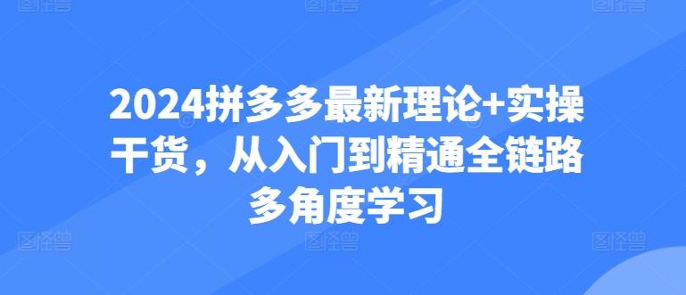 2024拼多多最新理论+实操干货，从入门到精通全链路多角度学习-知芽创业社