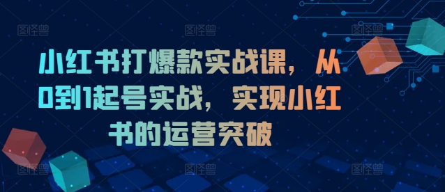 小红书打爆款实战课，从0到1起号实战，实现小红书的运营突破-知芽创业社