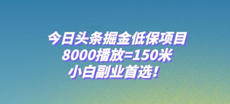 今日头条掘金低保项目，8000播放=150米，小白副业首选【揭秘】-知芽创业社
