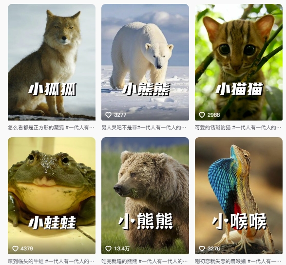 最新搞笑动物百科详细解说课程，蓝海赛道，流量非常大，轻松签独家进精选-知芽创业社