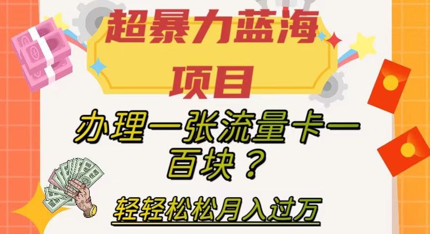 超暴力蓝海项目，办理一张流量卡一百块？轻轻松松月入过万，保姆级教程【揭秘】-知芽创业社