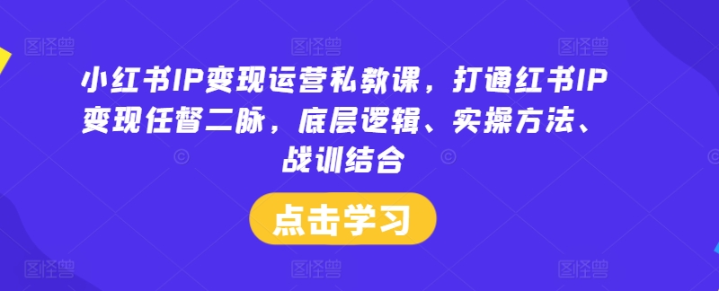 小红书IP变现运营私教课，打通红书IP变现任督二脉，底层逻辑、实操方法、战训结合-知芽创业社