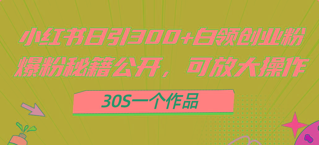 小红书日引300+高质白领创业粉，可放大操作，爆粉秘籍！30s一个作品-小艾项目网