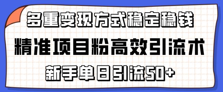 精准项目粉高效引流术，新手单日引流50+，多重变现方式稳定赚钱【揭秘】-知芽创业社