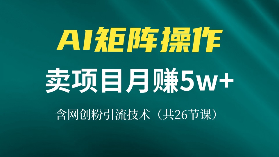网创IP打造课，借助AI卖项目月赚5万+，含引流技术(共26节课-知芽创业社