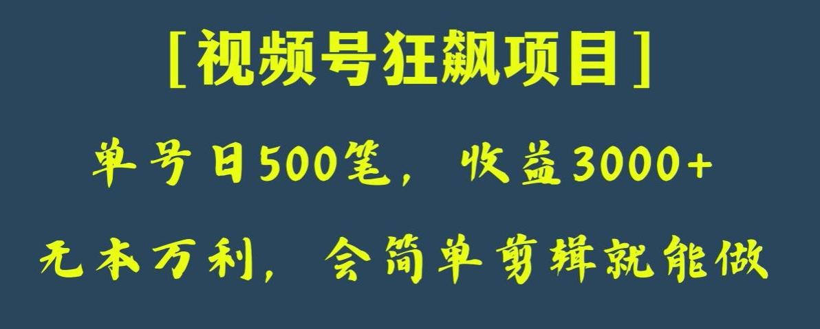 日收款500笔，纯利润3000+，视频号狂飙项目，会简单剪辑就能做【揭秘】-知芽创业社