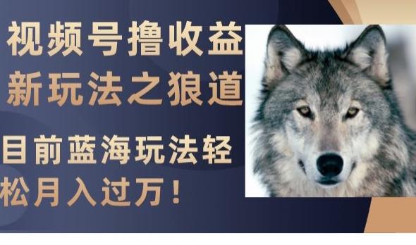 视频号撸收益新玩法之狼道，目前蓝海玩法，轻松月入过万【揭秘】-知芽创业社