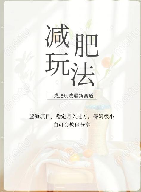 减肥流量主新玩法，轻松月入1W，可矩阵操作收入翻倍-知芽创业社