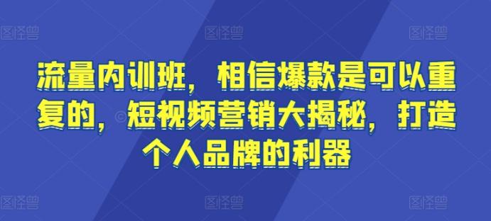 流量内训班，相信爆款是可以重复的，短视频营销大揭秘，打造个人品牌的利器-知芽创业社