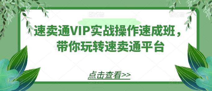 速卖通VIP实战操作速成班，带你玩转速卖通平台-知芽创业社