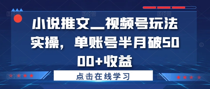 小说推文—视频号玩法实操，单账号半月破5000+收益-知芽创业社