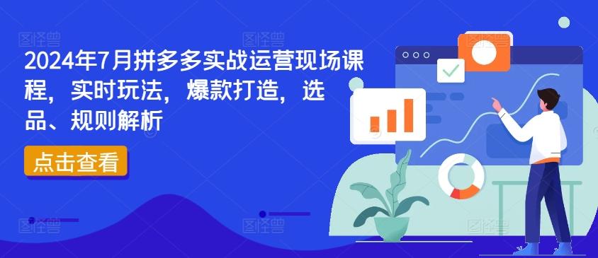2024年7月拼多多实战运营现场课程，实时玩法，爆款打造，选品、规则解析-知芽创业社