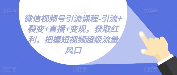 微信视频号引流课程-引流+裂变+直播+变现，获取红利，把握短视频超级流量风口-知芽创业社