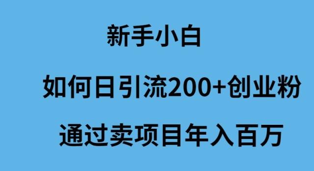 (9668期)新手小白如何日引流200+创业粉通过卖项目年入百万-知芽创业社
