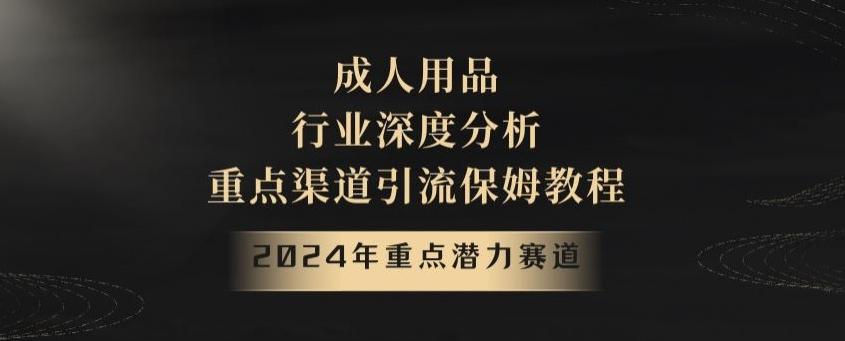 2024年重点潜力赛道，成人用品行业深度分析，重点渠道引流保姆教程【揭秘】-知芽创业社