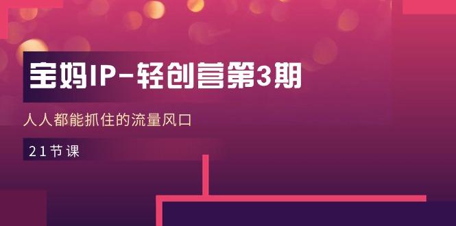 宝妈IP-轻创营第3期，人人都能抓住的流量风口(21节课-知芽创业社