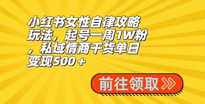 小红书女性自律攻略玩法，起号一周1W粉，私域情商干货单日变现500＋-知芽创业社