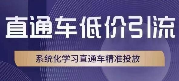 直通车低价引流课，系统化学习直通车精准投放-知芽创业社