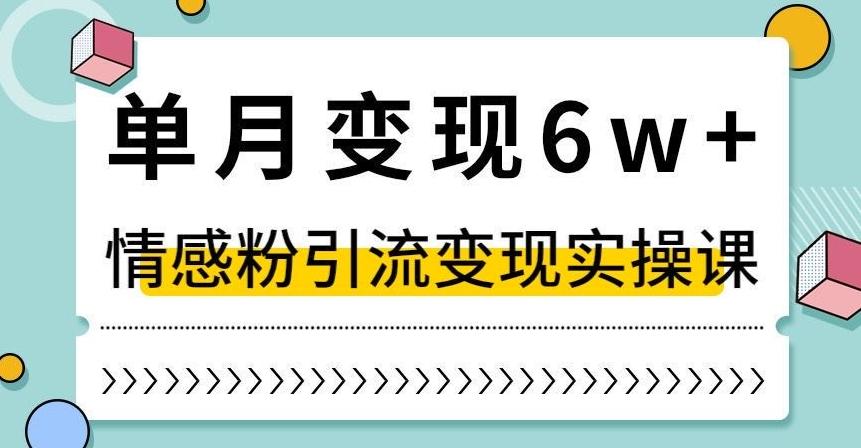 单月变现6W+，抖音情感粉引流变现实操课，小白可做，轻松上手，独家赛道【揭秘】-知芽创业社