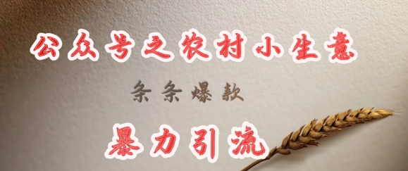 deepseek写农村小项目，条条爆款，暴力引流-小艾项目网