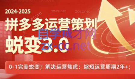 大力老师·2024拼多多运营策略蜕变3.0-知芽创业社