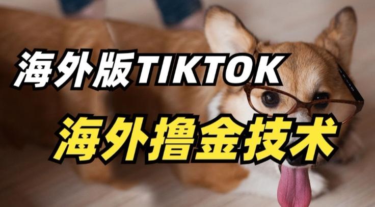 抖音海外版tiktok撸金技术，这个风口行业，赚钱真的不难【揭秘】-小艾项目网