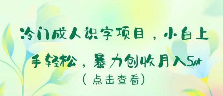 冷门成人识字项目，小白上手轻松，暴力创收月入5w+【揭秘】-知芽创业社