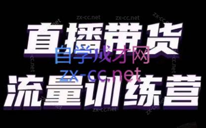 婉婉·直播带货课程系列合集(更新8月)-知芽创业社