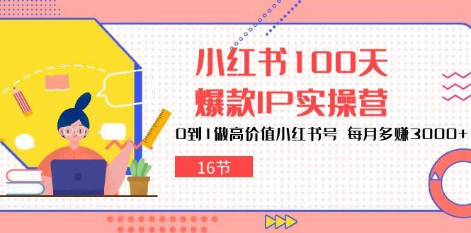小红书100天-爆款IP实操营，0到1做高价值小红书号 每月多赚3000+(16节-知芽创业社