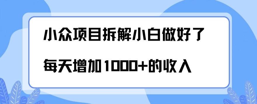 小众项目拆解，小白做好了每天可增加1000多的收入-小艾项目网