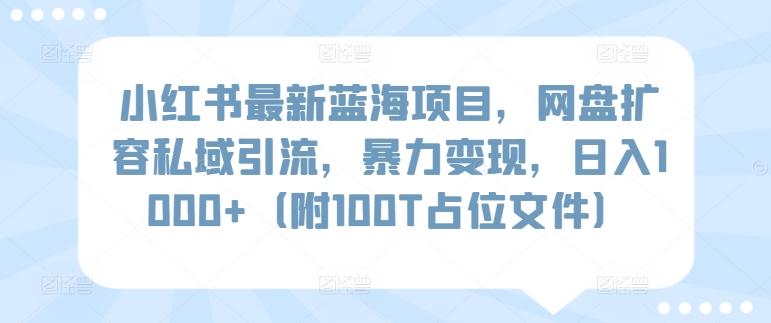 小红书最新蓝海项目，网盘扩容私域引流，暴力变现，日入1000+(附100T占位文件)【揭秘】-知芽创业社