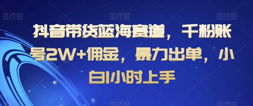 抖音带货蓝海赛道，千粉账号2W+佣金，暴力出单，小白1小时上手【揭秘】-知芽创业社