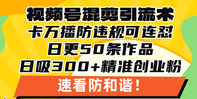视频号混剪引流技术，500万播放引流17000创业粉，操作简单当天学会-知芽创业社
