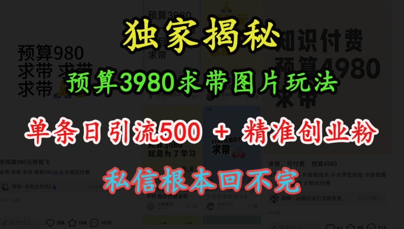 预算3980求带 图片玩法，单条日引流500+精准创业粉，私信根本回不完-知芽创业社