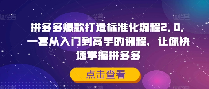 拼多多爆款打造标准化流程2.0，一套从入门到高手的课程，让你快速掌握拼多多-知芽创业社