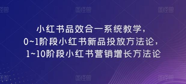 小红书品效合一系统教学，​0~1阶段小红书新品投放方法论，​1~10阶段小红书营销增长方法论-知芽创业社