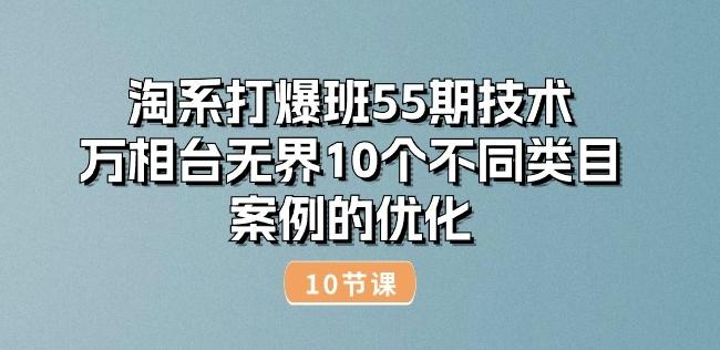 淘系打爆班55期技术：万相台无界10个不同类目案例的优化(10节)-知芽创业社