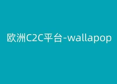 欧洲C2C平台-wallapop-kim跨境电商教程-知芽创业社