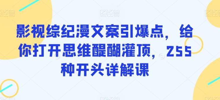 影视综纪漫文案引爆点，给你打开思维醍醐灌顶，255种开头详解课-知芽创业社