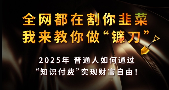 全网都在割你韭菜，我来教你做镰刀，2025年普通人如何通过 知识付费 实现财F自由【揭秘】-小艾项目网