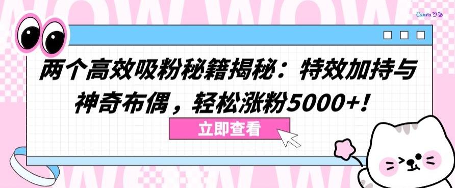 两个高效吸粉秘籍揭秘：特效加持与神奇布偶，轻松涨粉5000+【揭秘】-知芽创业社