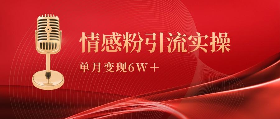 (9473期)单月变现6w+，情感粉引流变现实操课-知芽创业社
