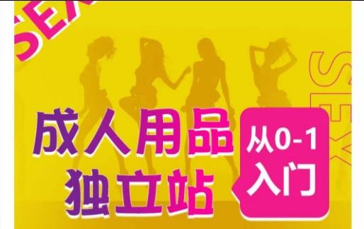 成人用品独立站从0-1入门，成品独立站运营全流程教学，七大好卖成品独立站推荐-知芽创业社