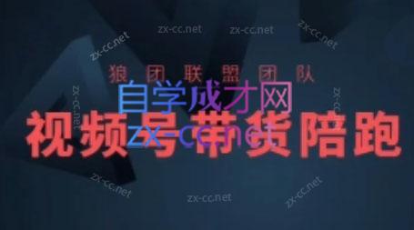 狼团联盟·2024视频号带货-知芽创业社