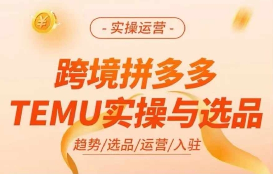 跨境拼多多TEMU实操与选品，多多temu跨境选品运营实操-知芽创业社