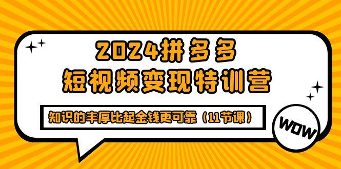 (9817期)2024拼多多短视频变现特训营，知识的丰厚比起金钱更可靠(11节课)-知芽创业社