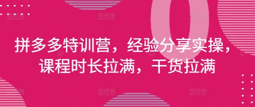 拼多多特训营，经验分享实操，课程时长拉满，干货拉满(更新25年4月)-知芽创业社