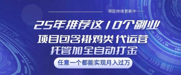 25年推荐这10个副业项目包含褂鸡类、代运营托管类、全自动打金类【揭秘】-知芽创业社